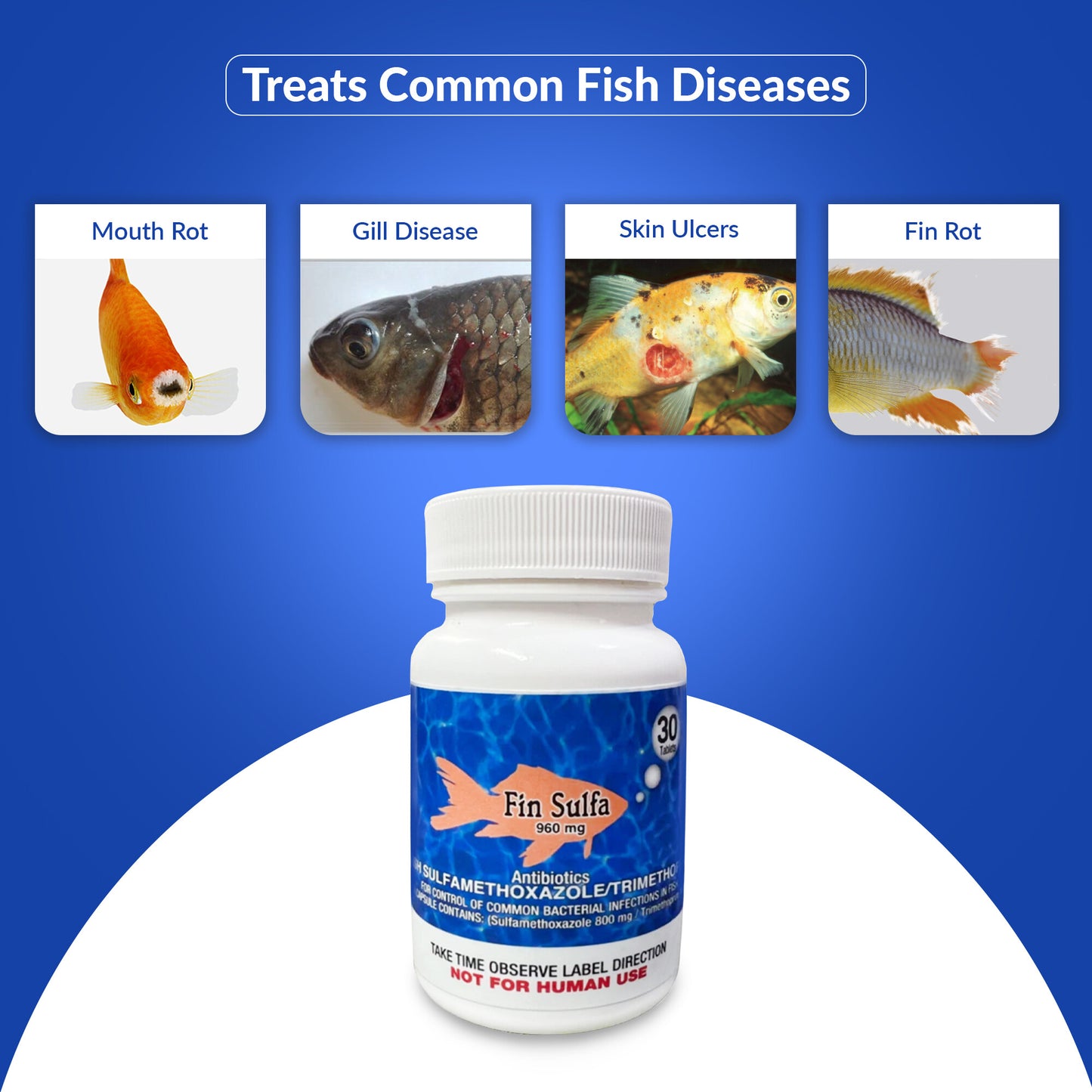 Fish Sulfa 960mg 30-Tablets