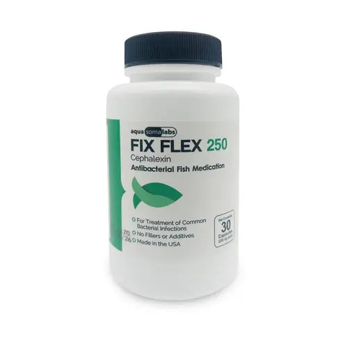 Fish Ceph 500mg 30-Capsules