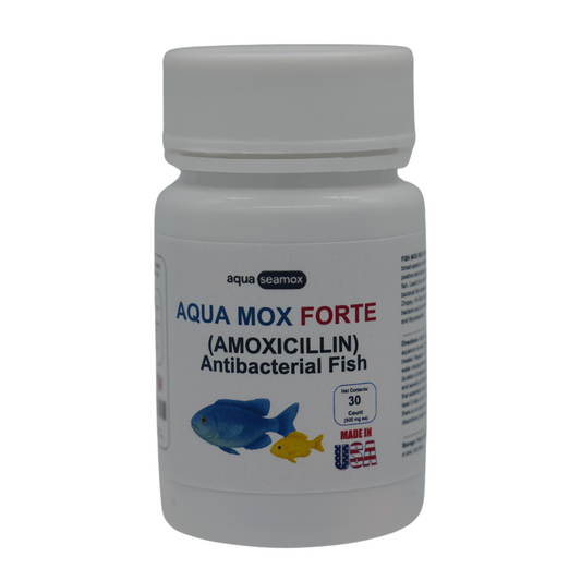Fish Mox 500mg - 30 count
