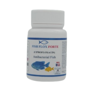 Fish Flox 500 - 30 Capsules